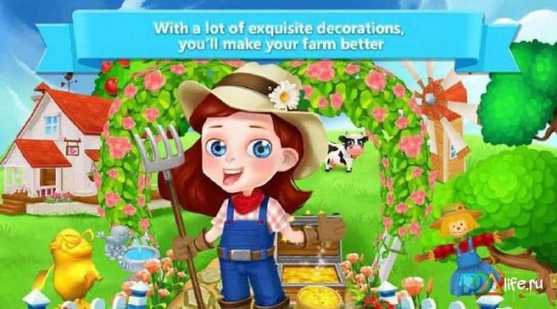 Little Dream Farm