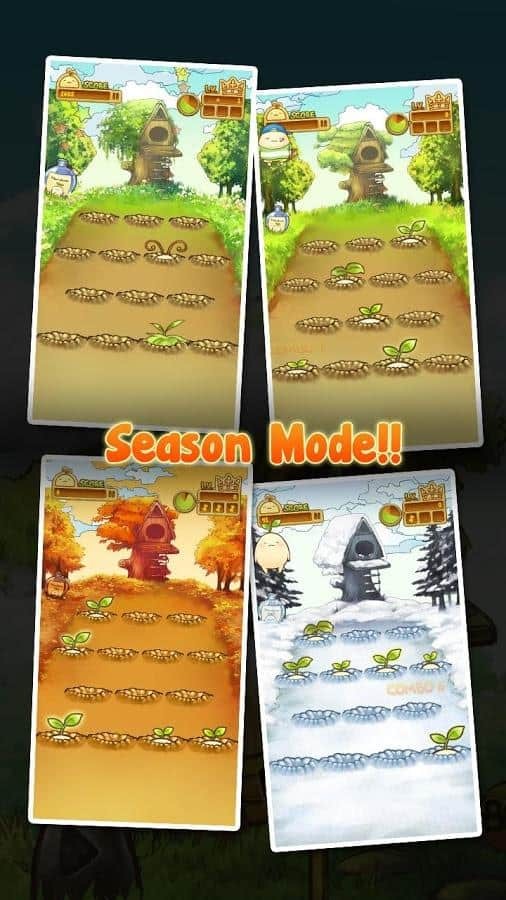 Mandora
