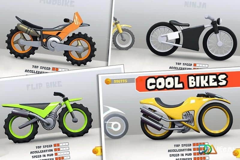 Motocross Elite