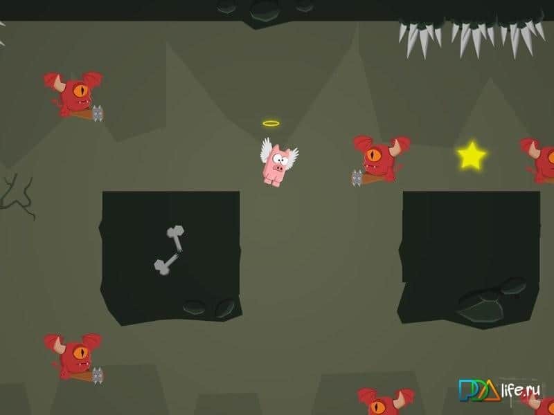 Pigs Can't Fly