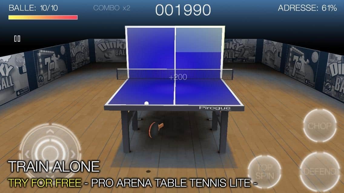 Pro Arena Table Tennis