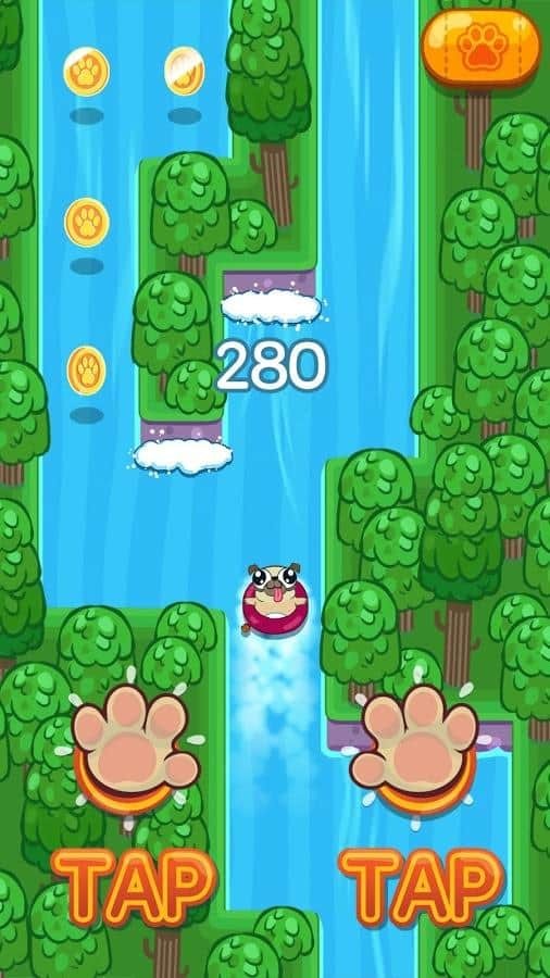 Pug Rapids