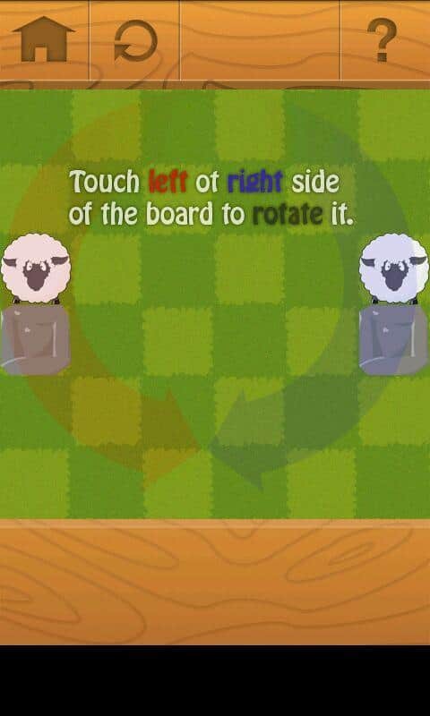Rolling Sheep
