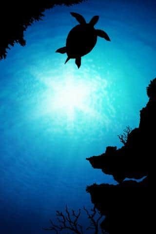 SUBMARINE LiveWallpaper