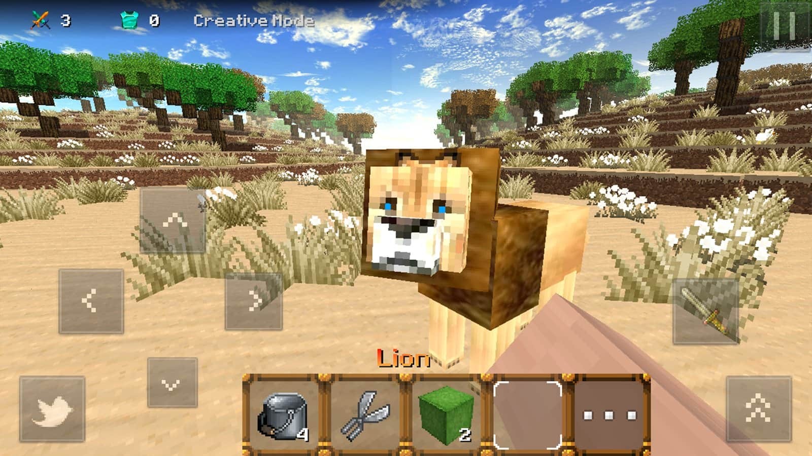 Savanna Craft