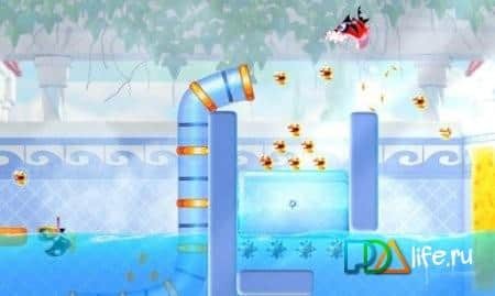 Shark Dash Live Wallpaper