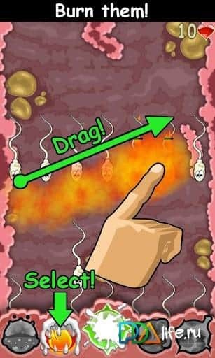 Sperm Defense