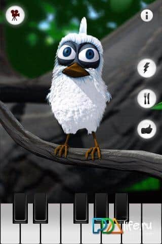 Talking Larry the Bird