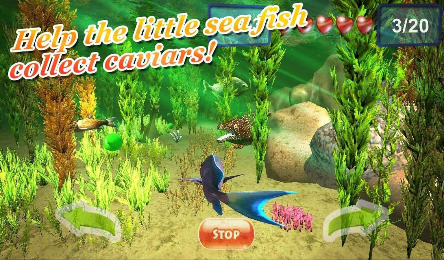 Underwater world. Adventure 3D