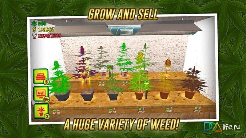 Weed Shop The Game
