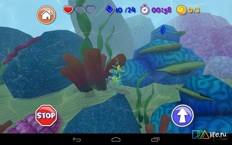 Weird Animal Buddy Run