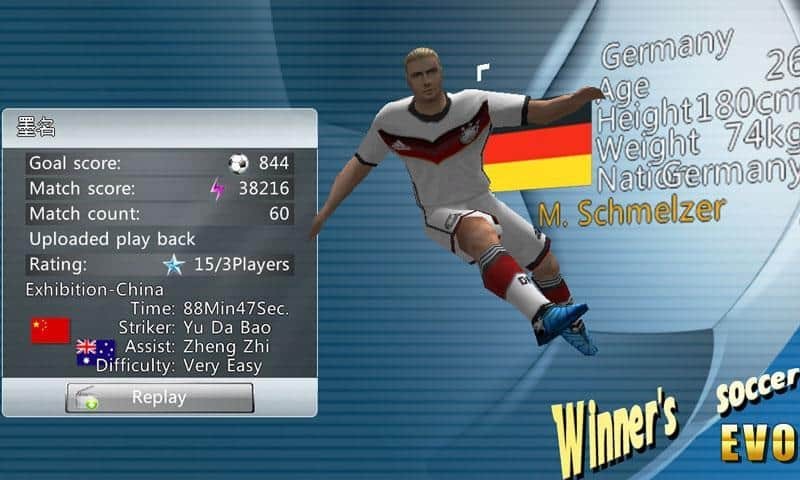 Winner Soccer 2014
