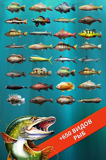Let's Fish: Симулятор рыбалки