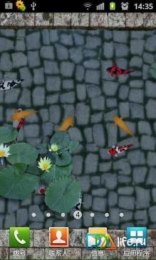 3D Fish Ponds Live Wallpaper