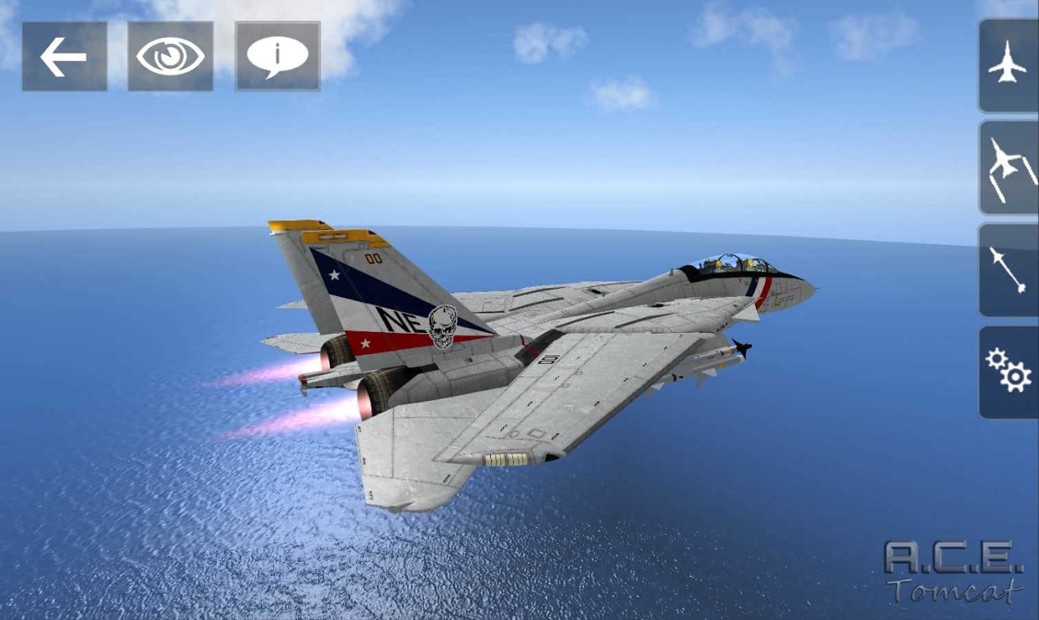 A.C.E. Tomcat
