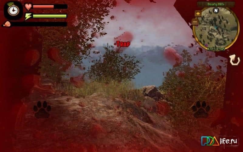 Bear Simulator