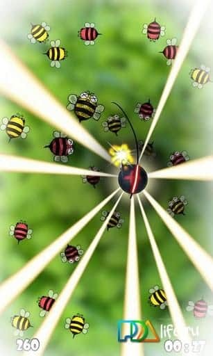 Bugs Circle