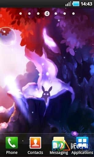 Bunny Forest