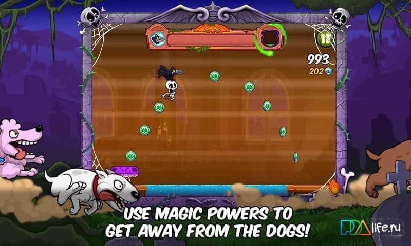 Bunny Jungle Run