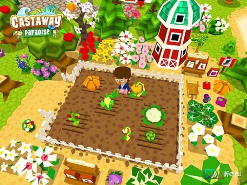 Castaway Paradise