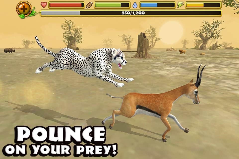 Cheetah Simulator