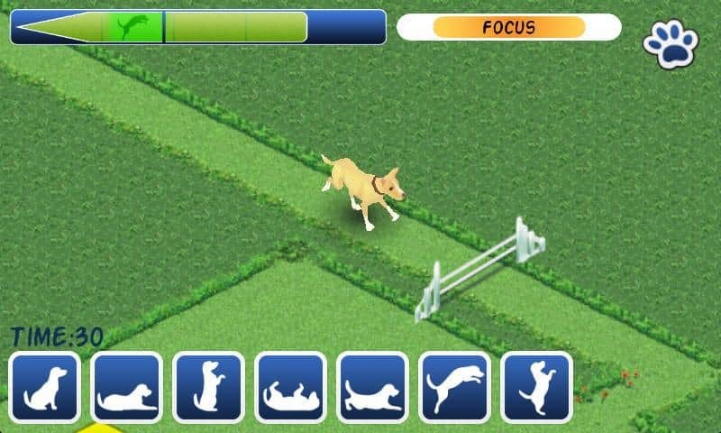 Clickety Dog: Pet School