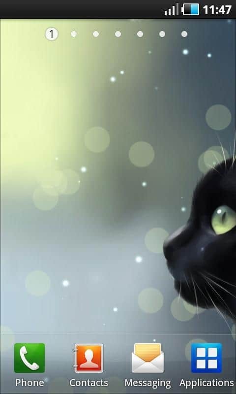Curious Cat