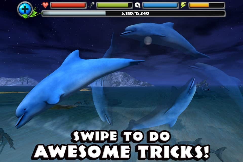 Dolphin Simulator