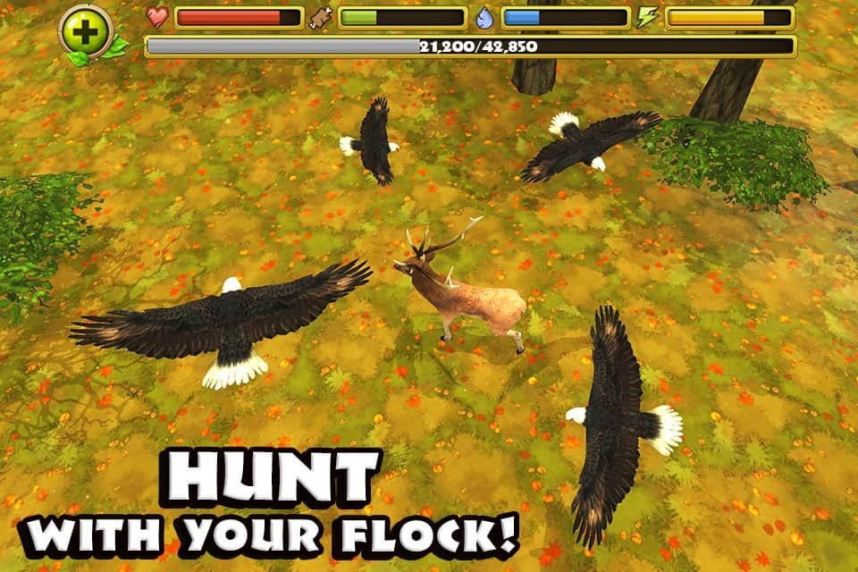 Eagle Simulator