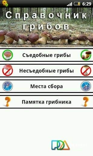 Грибы. Справочник