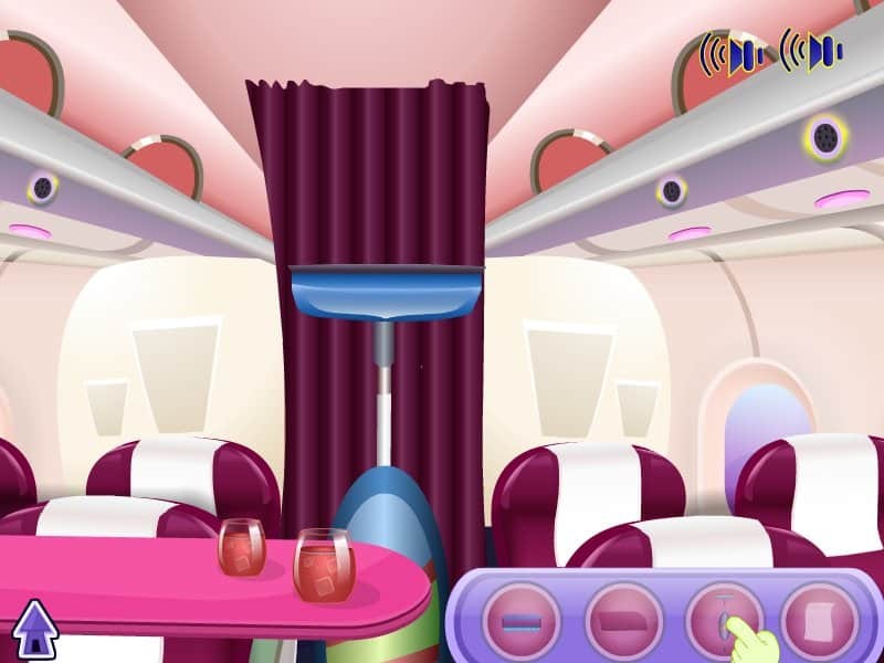 Holiday Airplane Cleaning
