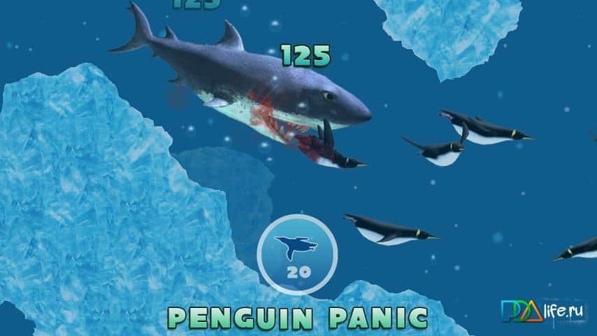 Hungry Shark 3