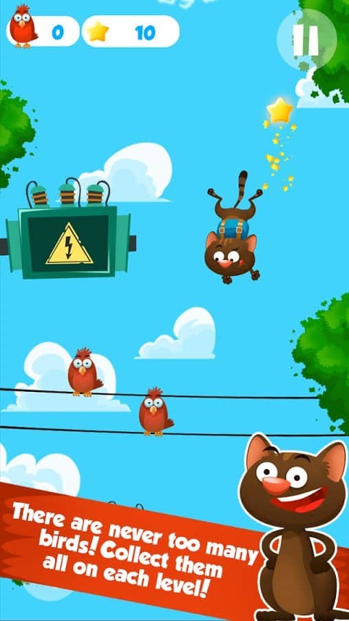 Jumpy Cat