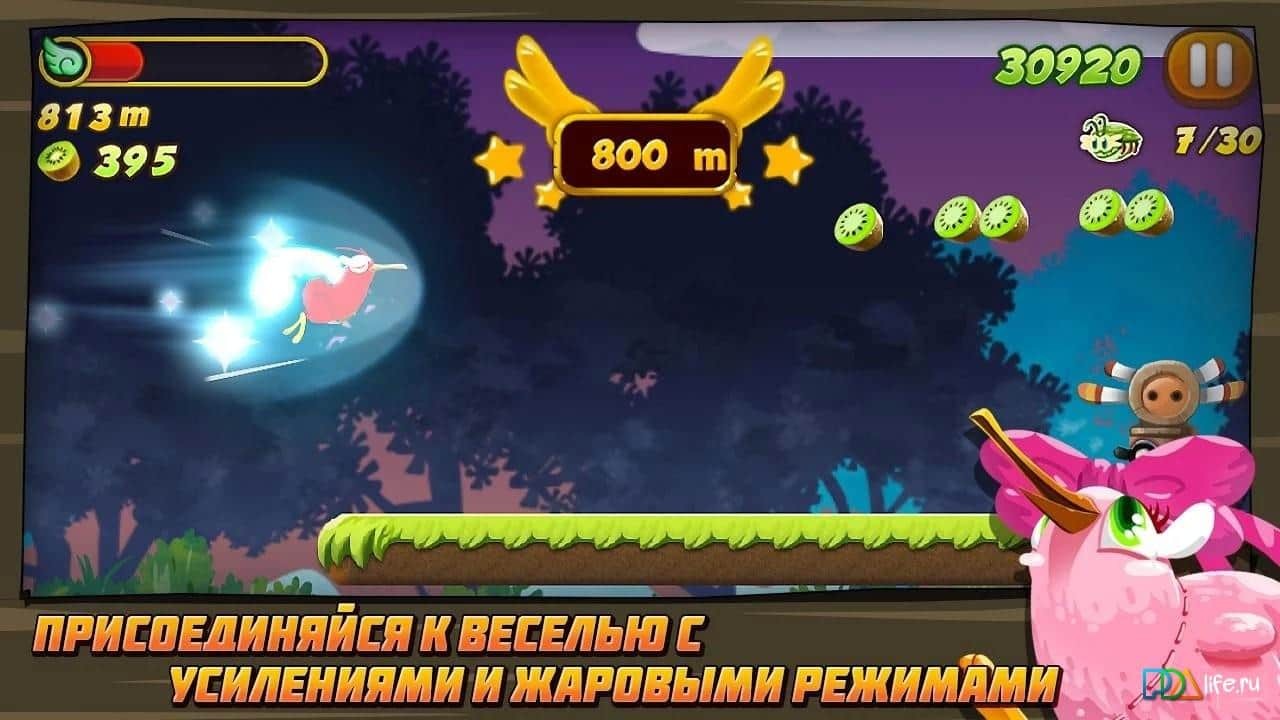 Kiwi Dash