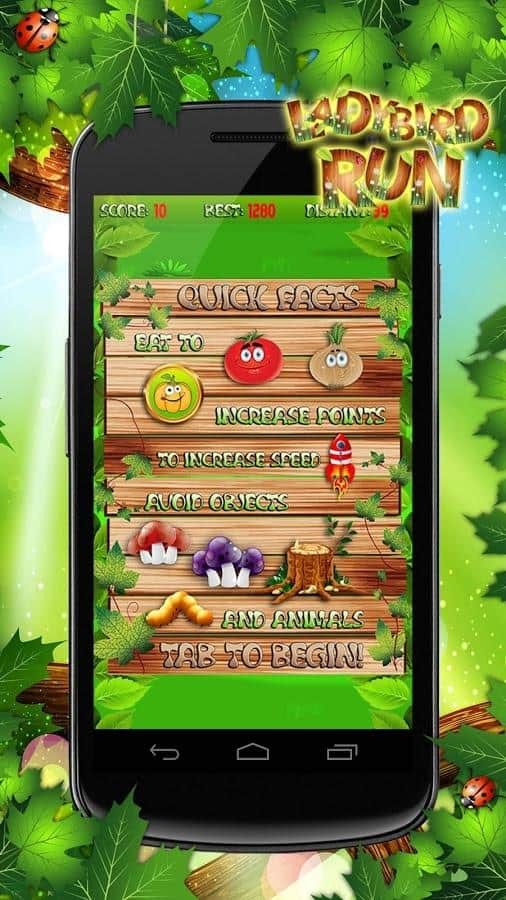 Ladybird Run