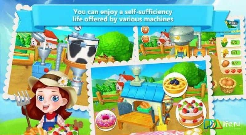 Little Dream Farm