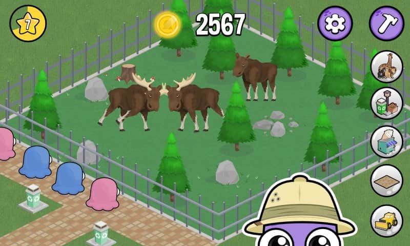Moy Zoo
