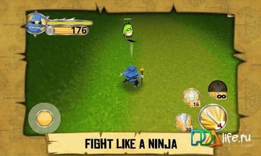 Ninja Wizard