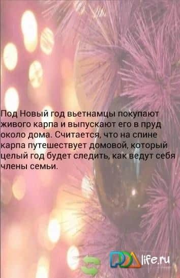 Новогодняя викторина