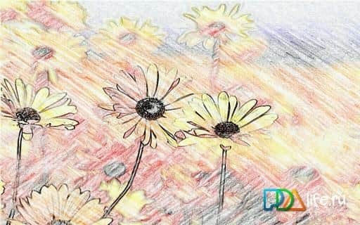 Pencil Camera