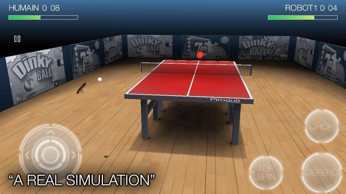 Pro Arena Table Tennis