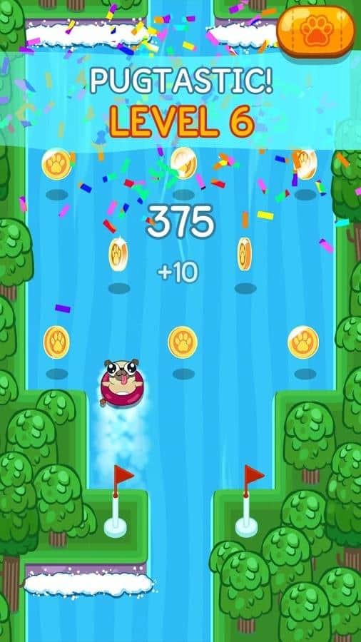 Pug Rapids