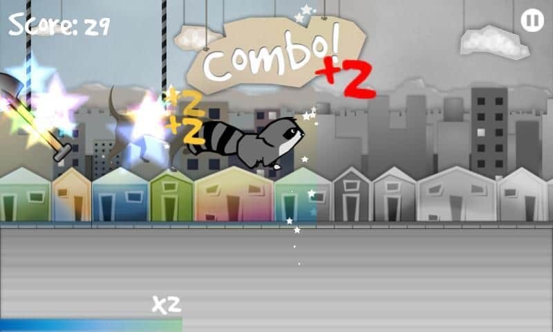 Raccoon