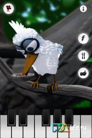Talking Larry the Bird