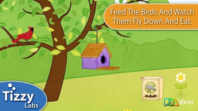 Tizzy Seasons for Kids